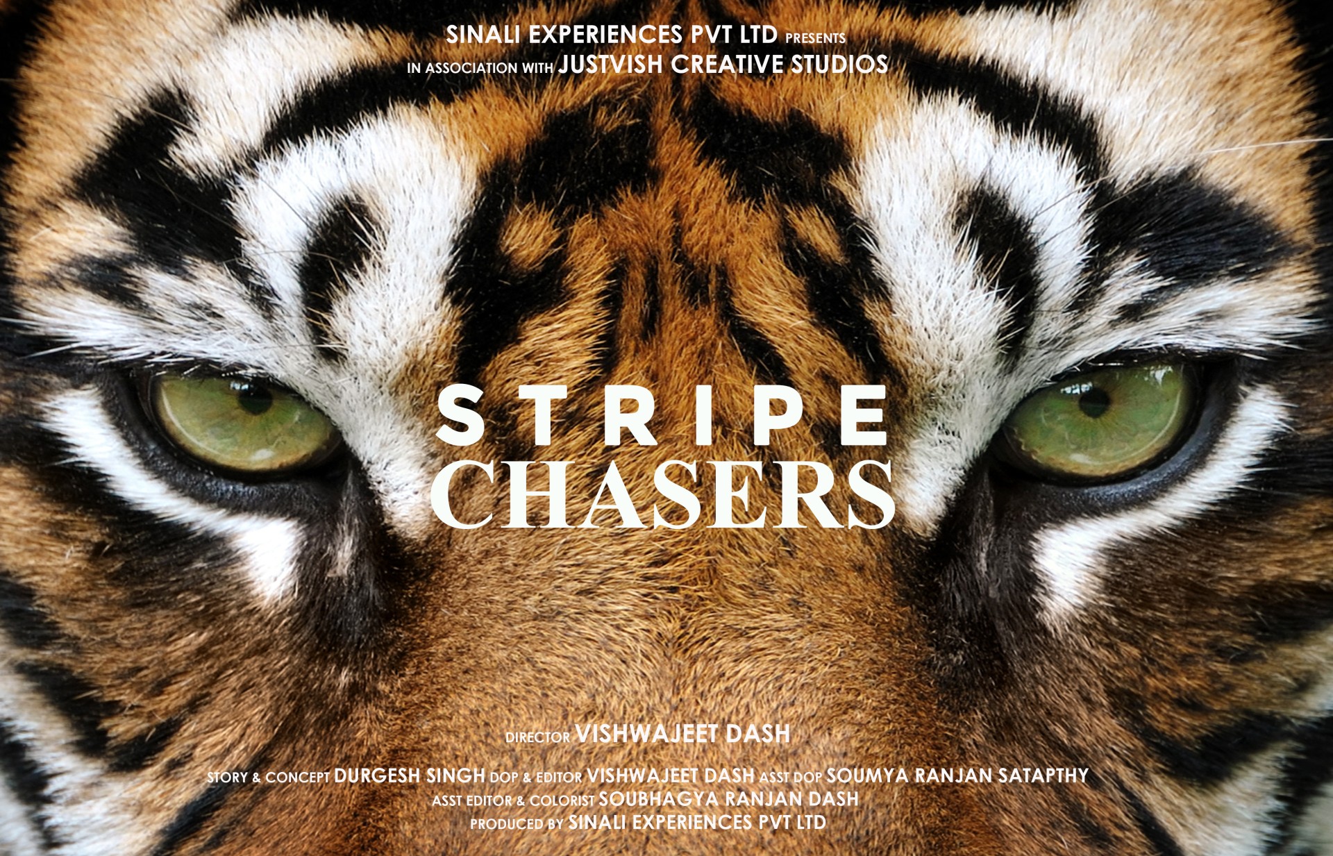 Stripe Chasers Poster